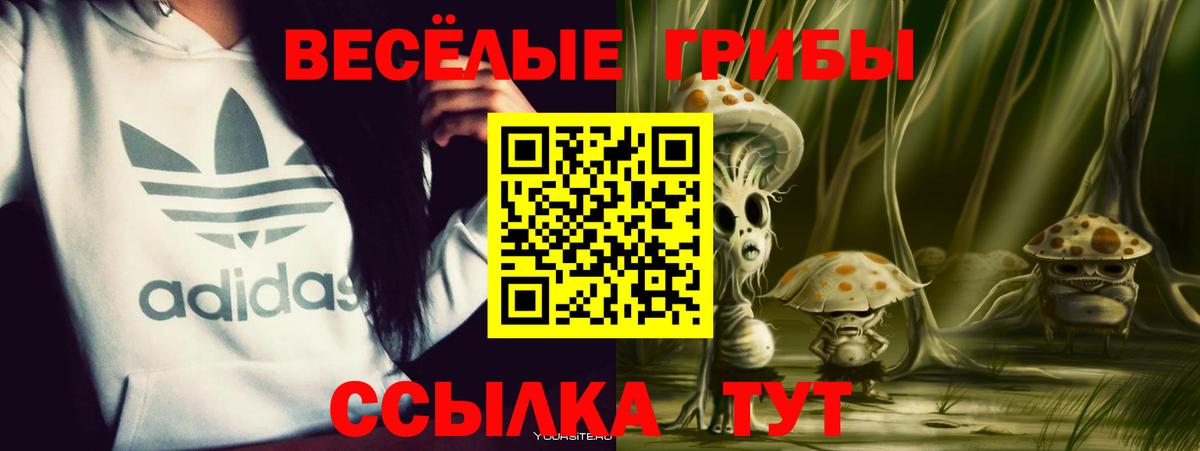 Верхний Уфалей  Псилоцибиновые грибы MAGIC MUSHROOMS  Вход с VPN 